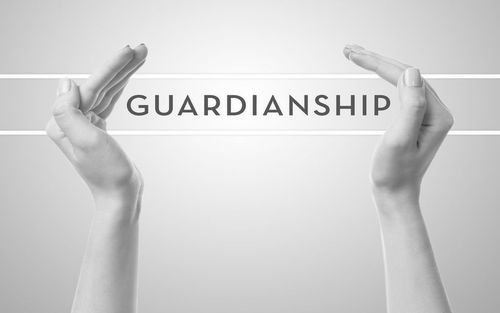 Adult Guardianship New Rule | Certified Guardian