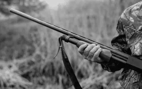 a person holding a gun | Minerals In North Dakota Probates