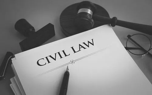 Civil Litigation Depositions